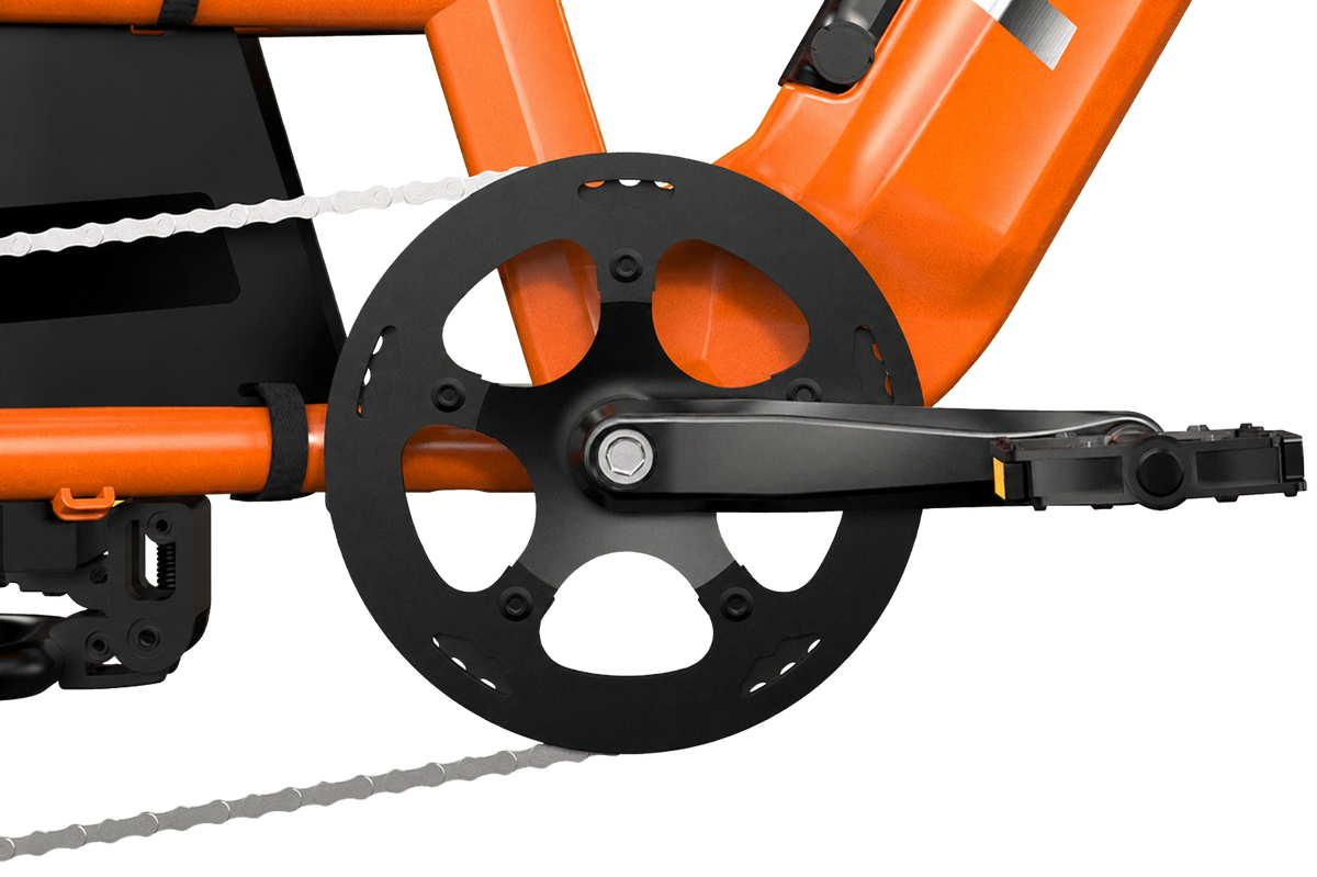 eRides Hove CargoBike