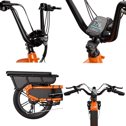 eRides Hove CargoBike