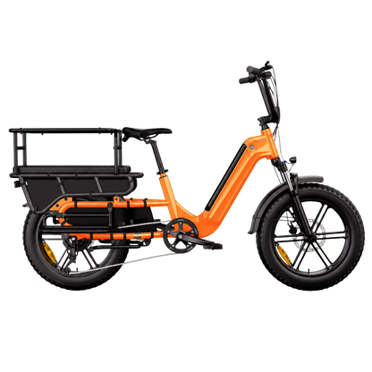 eRides Hove CargoBike