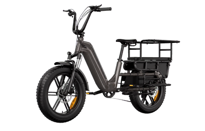eRides Hove CargoBike