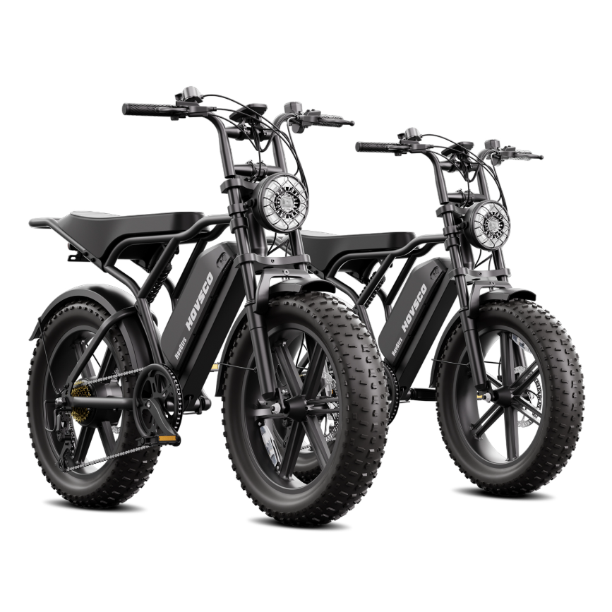 eRides R002 Plus Urban Cruiser eBike