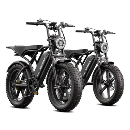 eRides R002 Plus Urban Cruiser eBike