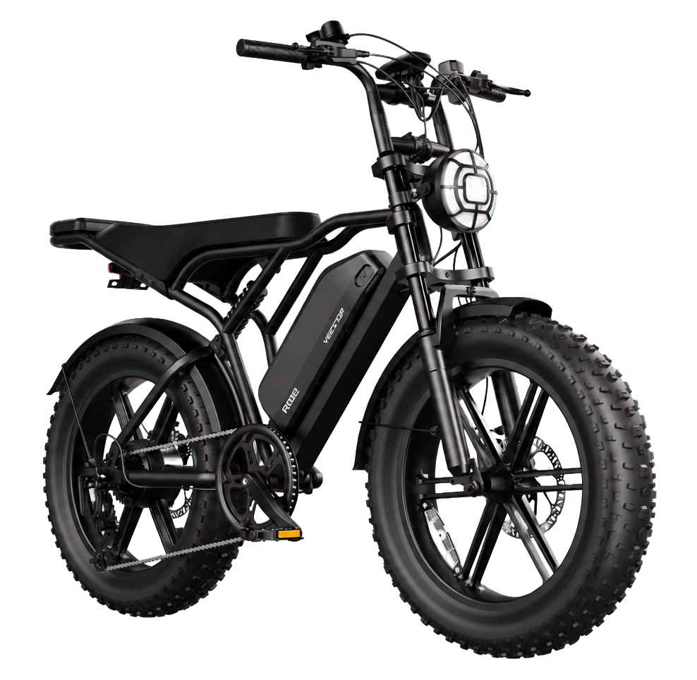eRides R002 Plus Urban Cruiser eBike
