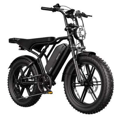 eRides R002 Plus Urban Cruiser eBike