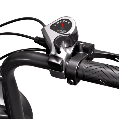 eRides R002 Plus Urban Cruiser eBike