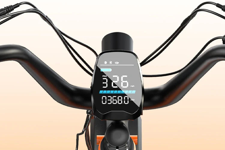 LCD-Display und Cockpit des eRides Hove